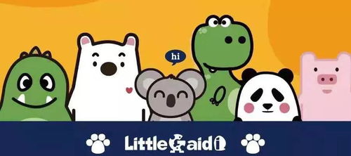 山东走访记② little gaidi翟洁冰 打造原装进口婴童精品店